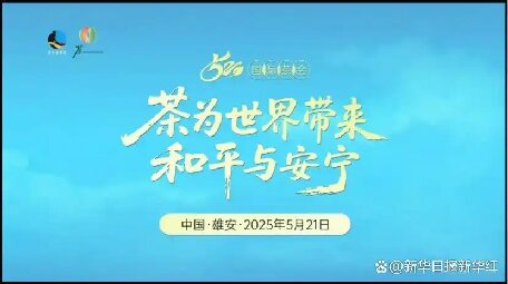 “茶为世界带来和平与安宁”2025.5.21国际茶日健康饮茶活动在中国雄安举办