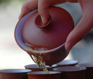 茶乐